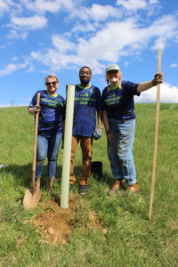 Woodsboro Bank colleagues at a tree planting day of service